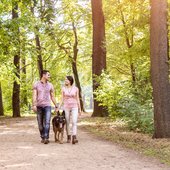 Hund und Halter spazieren durch den Park